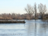 20120203-molenpolder